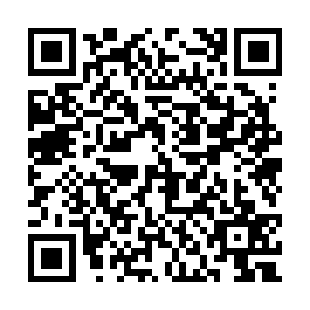 QR code for SNO2378