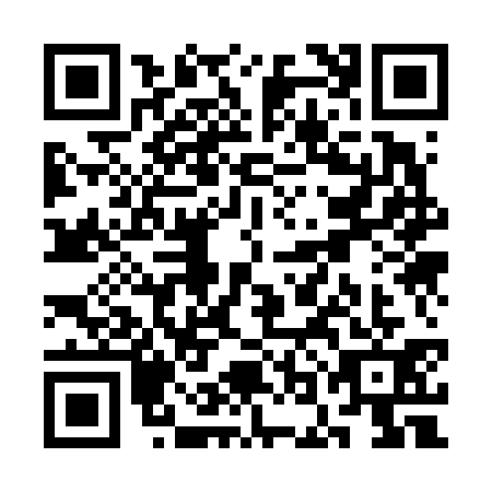 QR code for SOK6317