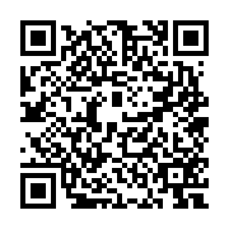 QR code for SOO6565