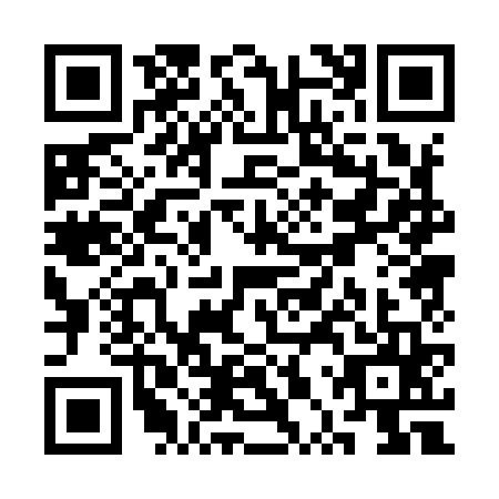 QR code for SPP9653