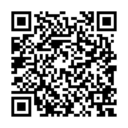 QR code for SQL6095