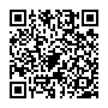 QR code for SQQ6994