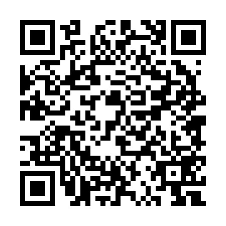 QR code for SRT2593
