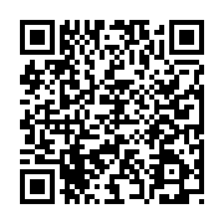 QR code for SSE2955
