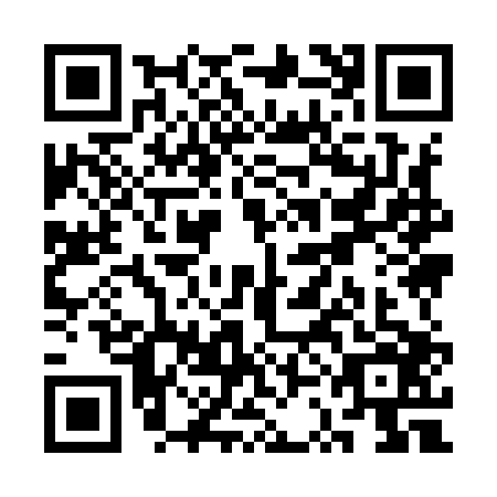 QR code for SSI9065