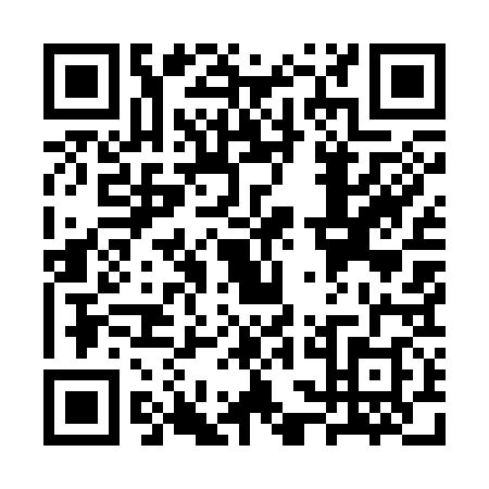 QR code for SSM3383