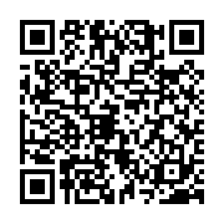 QR code for SSS0335