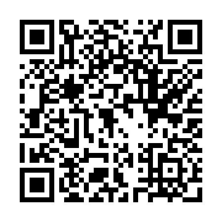 QR code for STI3313