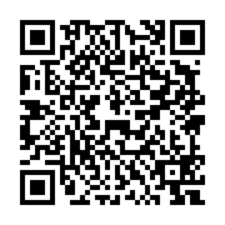 QR code for STI4993