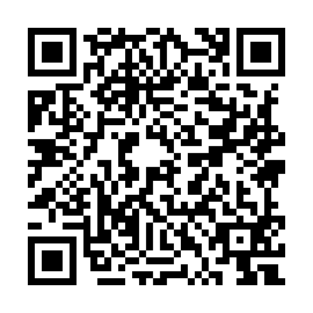 QR code for STI9924