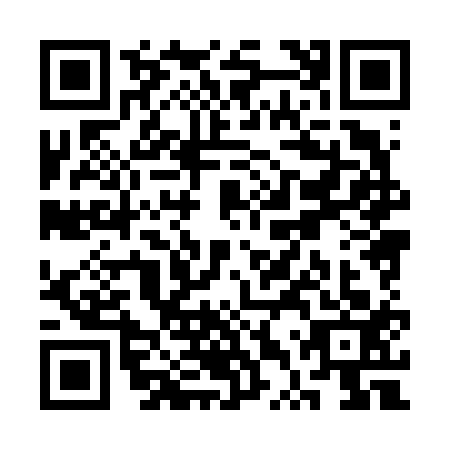 QR code for STX6133