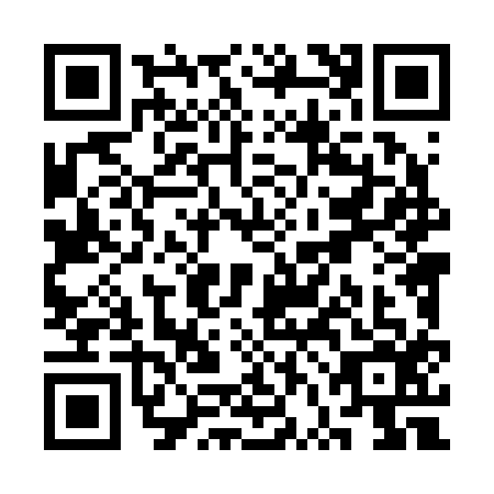 QR code for SVL2161