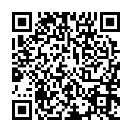 QR code for SWF3533