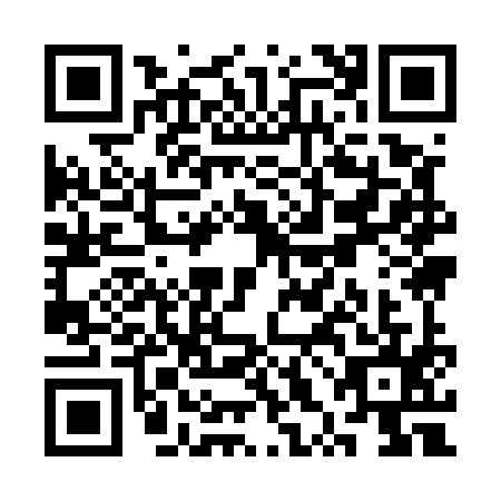 QR code for SXI5953