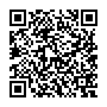 QR code for SYB9596