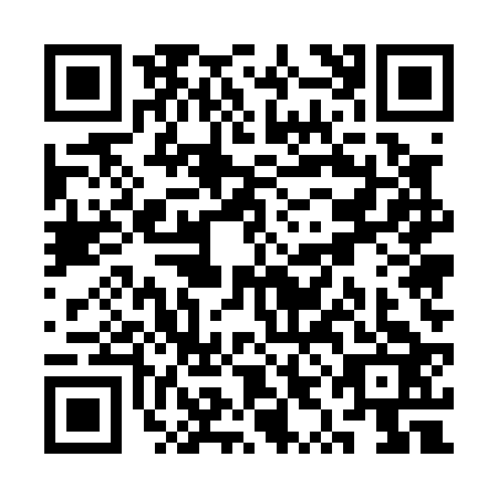 QR code for SYE0239