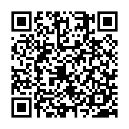 QR code for SYN0453