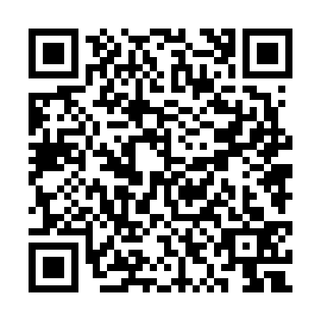 QR code for SYN6334