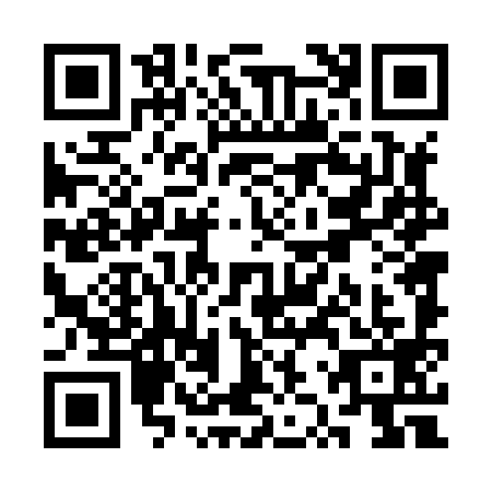 QR code for SZT8995