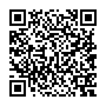 QR code for SZT9729