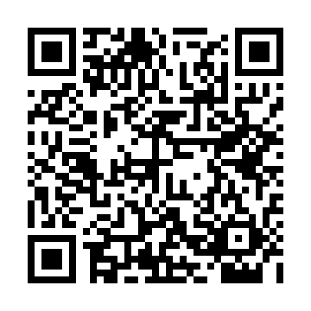 QR code for TBB0313