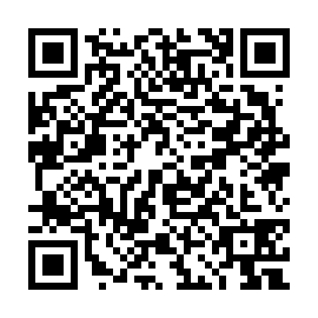 QR code for TCA6383