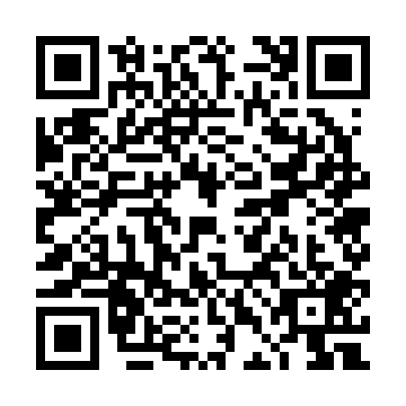 QR code for TDG2096