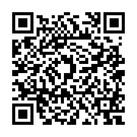 QR code for TDK3818