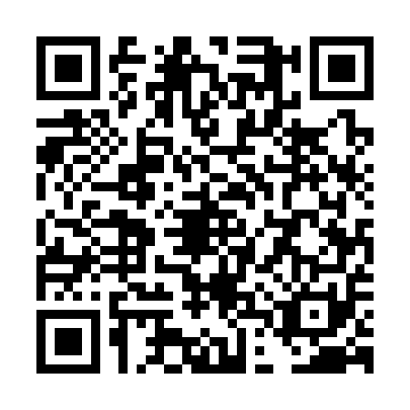 QR code for TDU3513