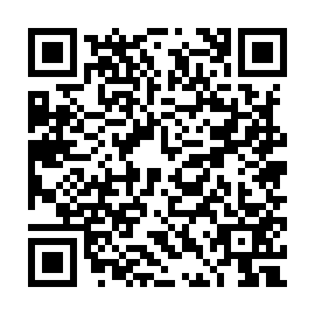 QR code for TDU9539