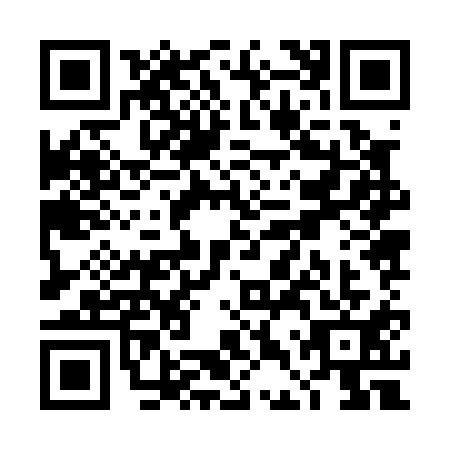 QR code for TDZ0119