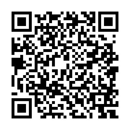 QR code for TEH3838
