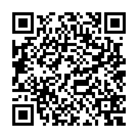 QR code for TFO0295