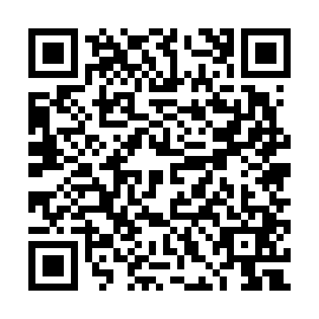 QR code for THE6417