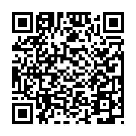 QR code for THG0489
