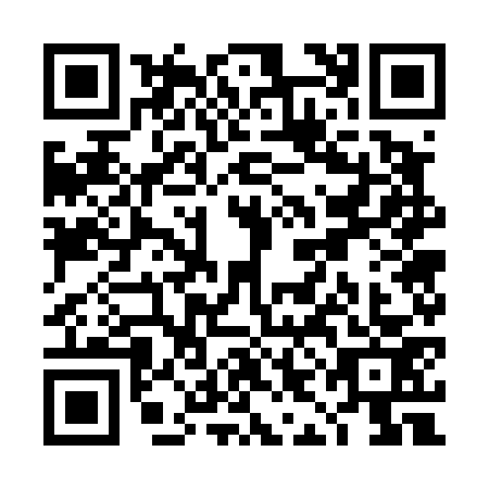 QR code for TIG4739