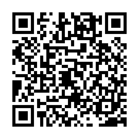 QR code for TII0536
