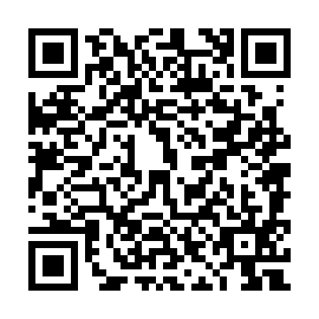 QR code for TIN3951