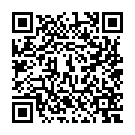 QR code for TIO9667