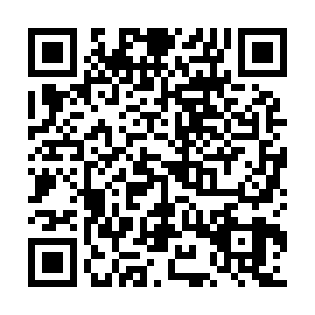 QR code for TIZ9290