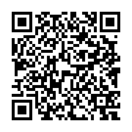 QR code for TJL0333