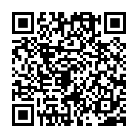 QR code for TKT0333