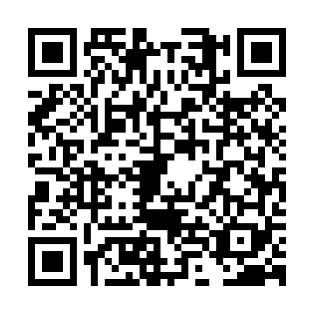 QR code for TLE0699