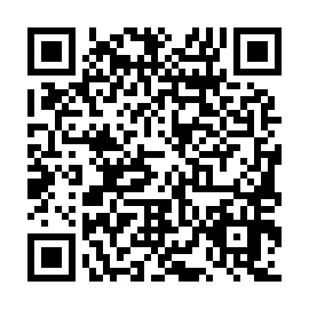 QR code for TLE9541