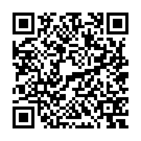 QR code for TLE9763