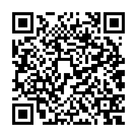 QR code for TLF2333