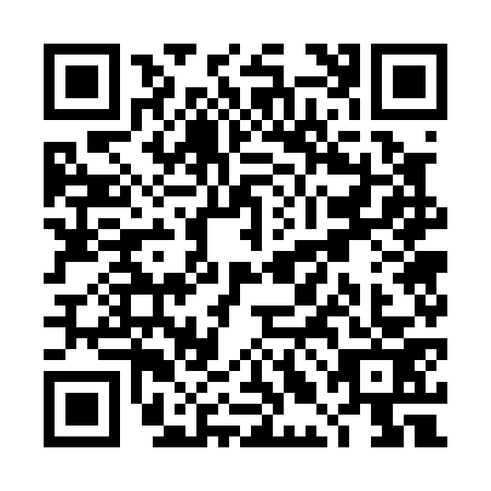 QR code for TLG0739