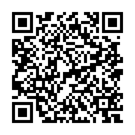 QR code for TLI0538