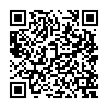 QR code for TOY4425