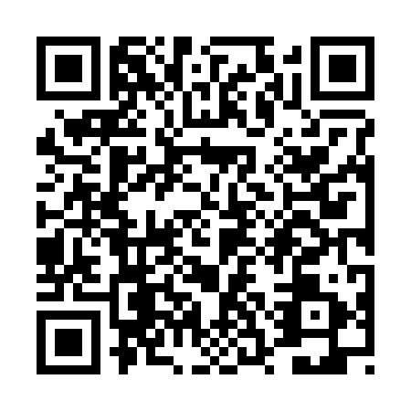 QR code for TSN2919